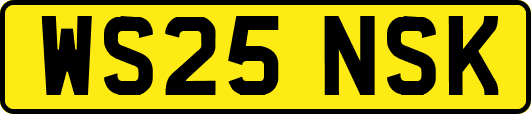 WS25NSK