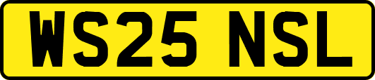 WS25NSL