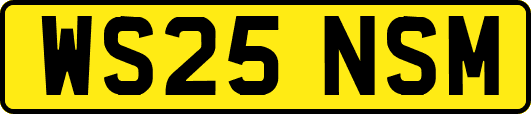WS25NSM
