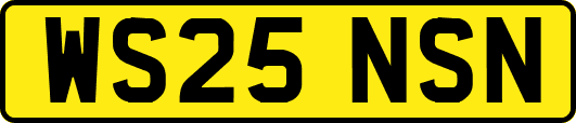 WS25NSN