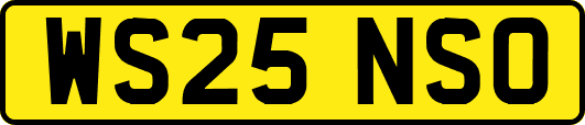 WS25NSO