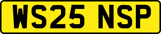 WS25NSP