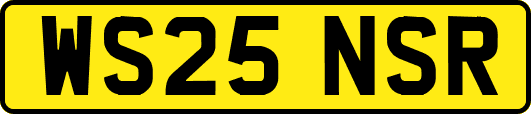 WS25NSR