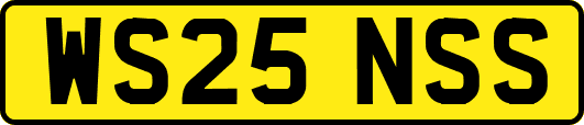 WS25NSS