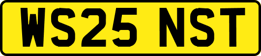WS25NST