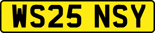 WS25NSY