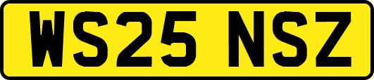 WS25NSZ