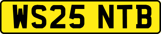 WS25NTB