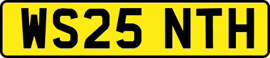 WS25NTH