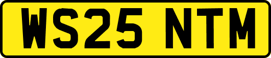 WS25NTM