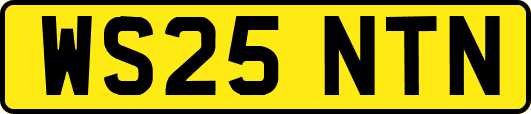 WS25NTN