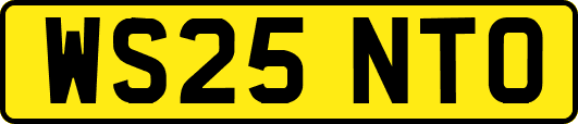 WS25NTO