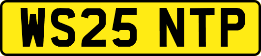 WS25NTP