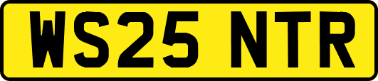 WS25NTR