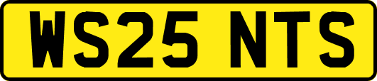 WS25NTS