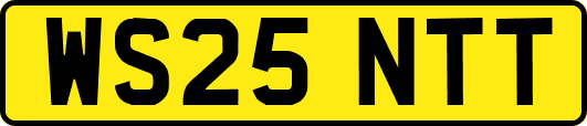 WS25NTT