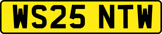 WS25NTW