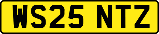 WS25NTZ