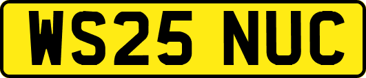 WS25NUC