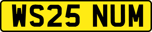 WS25NUM