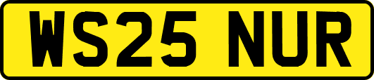 WS25NUR