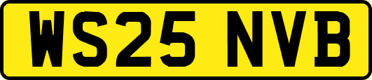 WS25NVB
