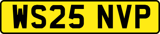 WS25NVP