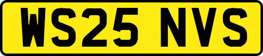 WS25NVS