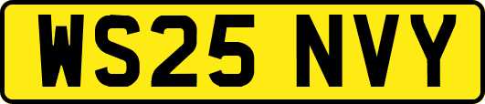 WS25NVY