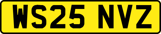 WS25NVZ