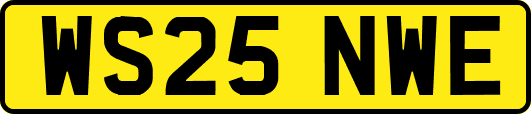 WS25NWE