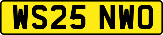WS25NWO