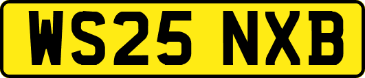 WS25NXB