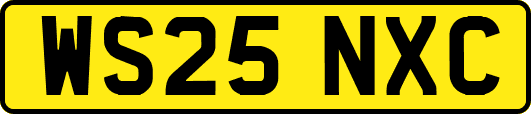 WS25NXC