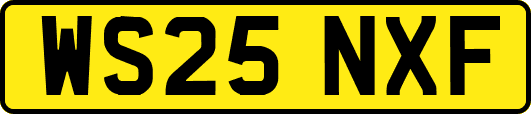 WS25NXF