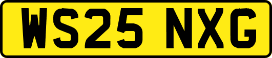 WS25NXG
