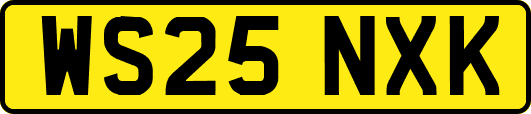 WS25NXK