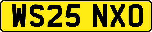 WS25NXO