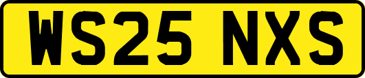 WS25NXS