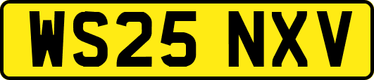 WS25NXV