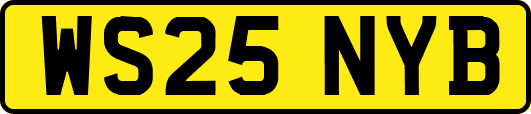 WS25NYB