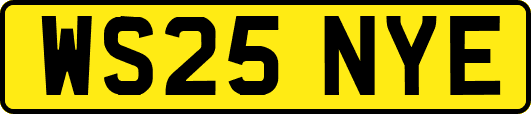 WS25NYE