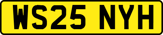 WS25NYH