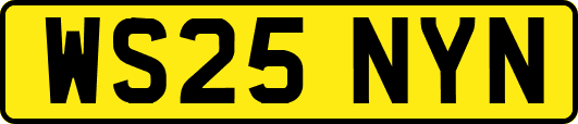 WS25NYN