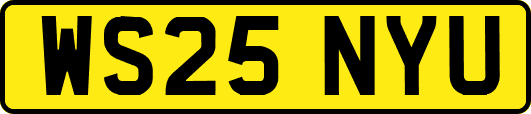 WS25NYU