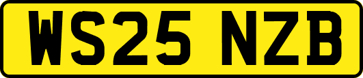 WS25NZB