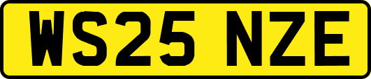 WS25NZE