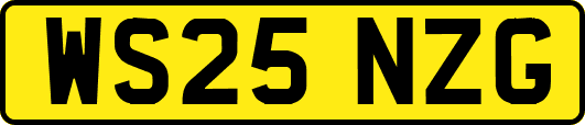 WS25NZG