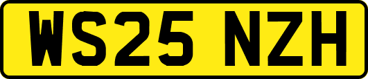 WS25NZH