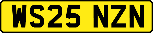 WS25NZN